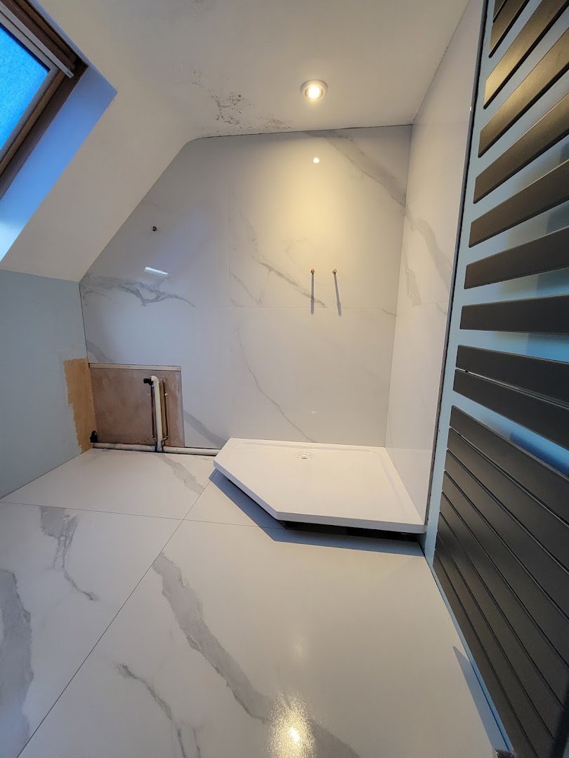 Jurassic Tiling — Photos 5